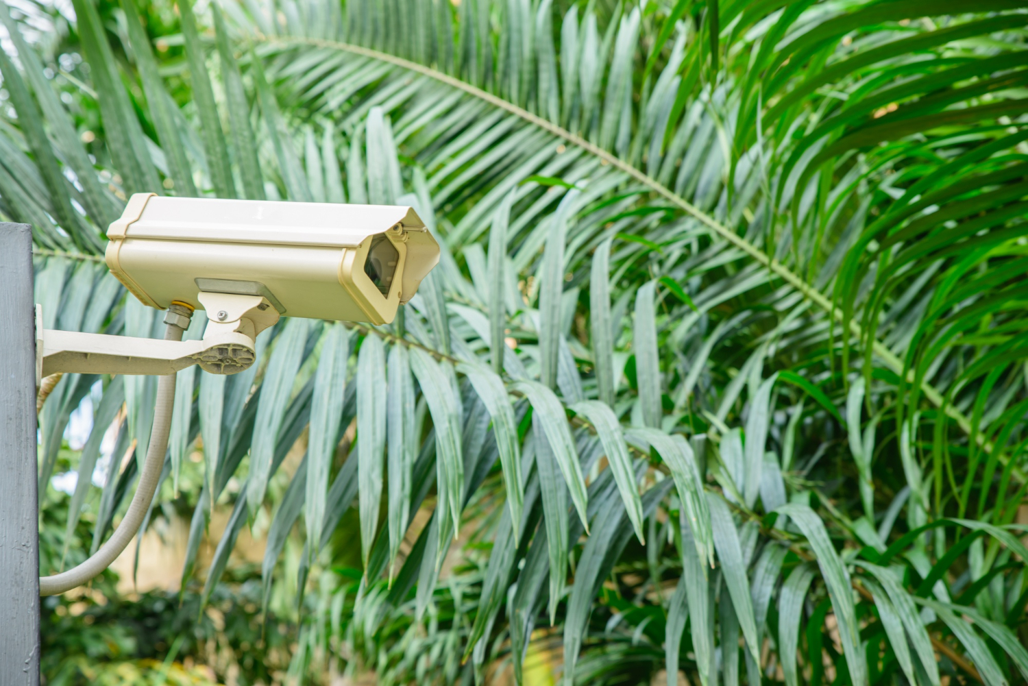 Need CCTV in your house?